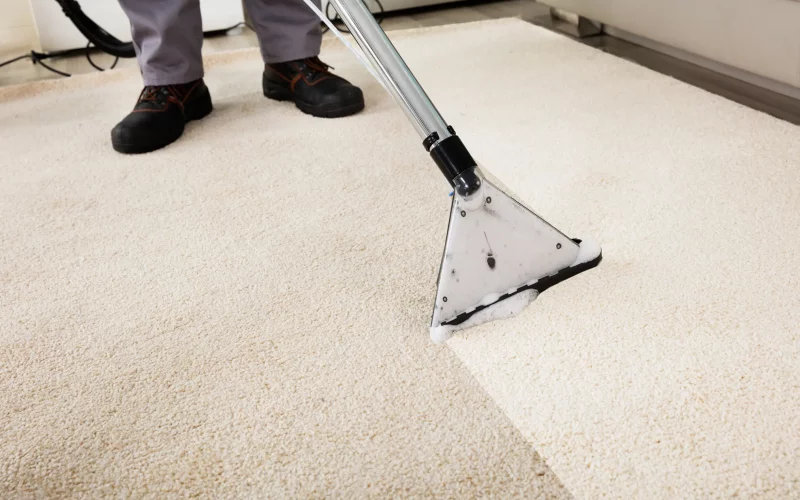 7Benefitsofprofessionalcarpetcleaning